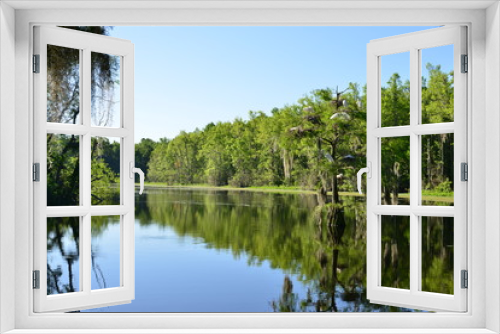 Fototapeta Naklejka Na Ścianę Okno 3D - Swamp near Charleston in South Carolina.
