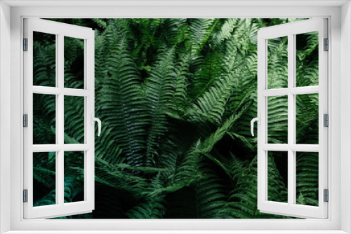 Fototapeta Naklejka Na Ścianę Okno 3D - leaves background texture. green leaf