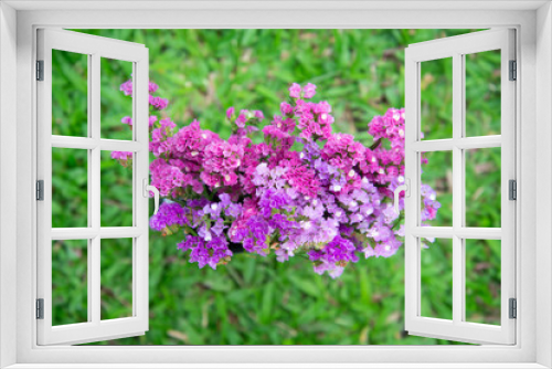 Fototapeta Naklejka Na Ścianę Okno 3D - Fuchsia dry flower