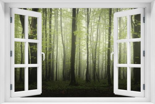 Fototapeta Naklejka Na Ścianę Okno 3D - high resolution forest panorama