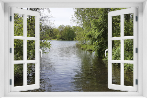Fototapeta Naklejka Na Ścianę Okno 3D - Small lake in Dutch park, Alblasserdam, South Holland, Netherlands
