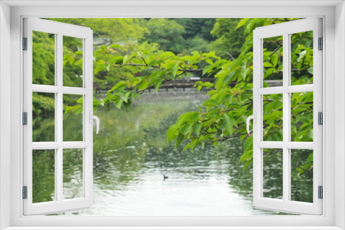 Fototapeta Naklejka Na Ścianę Okno 3D - 木と池