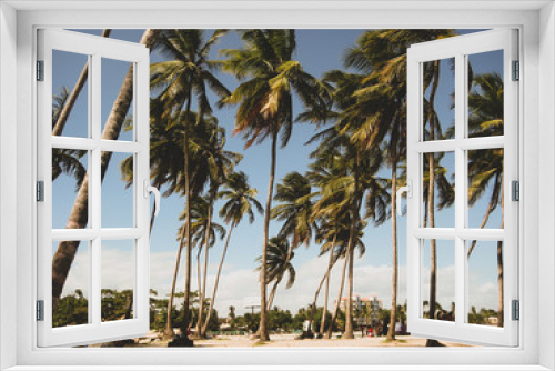 Fototapeta Naklejka Na Ścianę Okno 3D - Palm Trees on the Beach