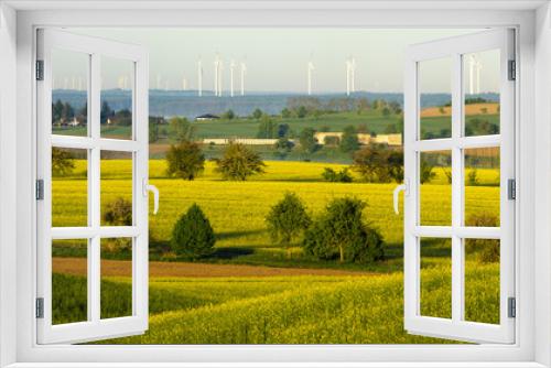 Fototapeta Naklejka Na Ścianę Okno 3D - panorama of spring rural landscape. Green fields of young grain and green trees in the field