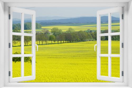 Fototapeta Naklejka Na Ścianę Okno 3D - Złote pola rzepaku