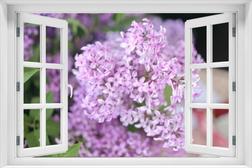 Fototapeta Naklejka Na Ścianę Okno 3D - Vase with spring violet lilac flowers