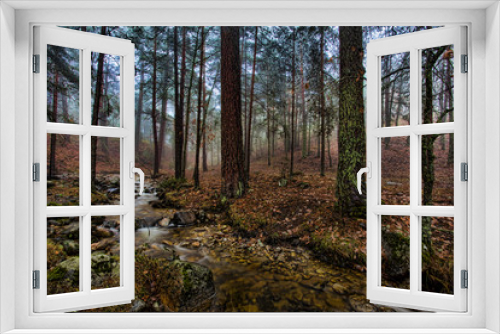 Fototapeta Naklejka Na Ścianę Okno 3D - Bosque de Adas