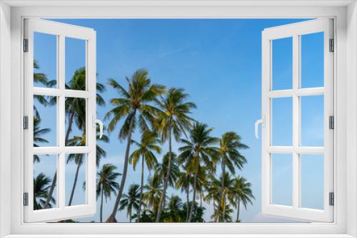 Fototapeta Naklejka Na Ścianę Okno 3D - coconut trees on blue sky background