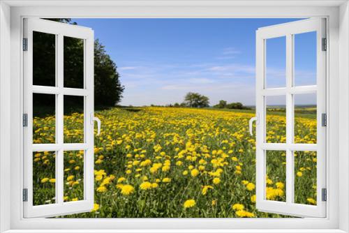 Fototapeta Naklejka Na Ścianę Okno 3D - Summer Landscape / Field of dandelions