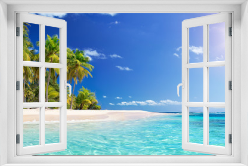 Fototapeta Naklejka Na Ścianę Okno 3D - Palm Beach In Tropical Paradise - Guadalupe Island -  Caribbean
