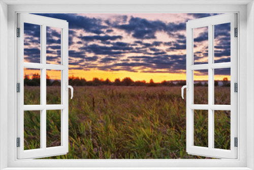 Fototapeta Naklejka Na Ścianę Okno 3D - Sunset in summer field