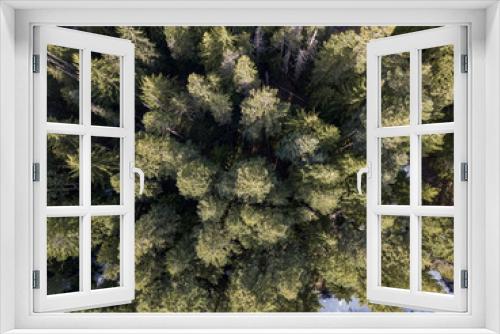 Fototapeta Naklejka Na Ścianę Okno 3D - Mount Hood