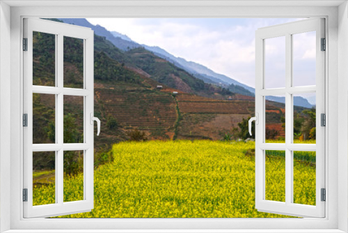 Fototapeta Naklejka Na Ścianę Okno 3D - vietnamese agriculture