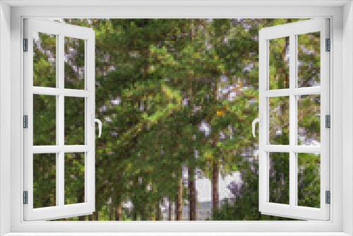 Fototapeta Naklejka Na Ścianę Okno 3D - Árvores