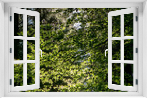 Fototapeta Naklejka Na Ścianę Okno 3D - Lichtstrahlen im Wald