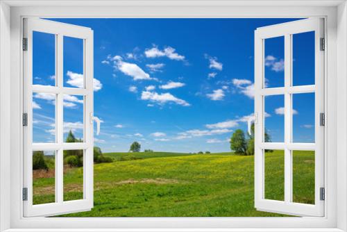 Fototapeta Naklejka Na Ścianę Okno 3D - Blue sky and field of dandelion, spring landscape