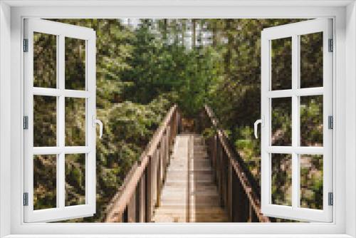 Fototapeta Naklejka Na Ścianę Okno 3D - Entrada puente bosque