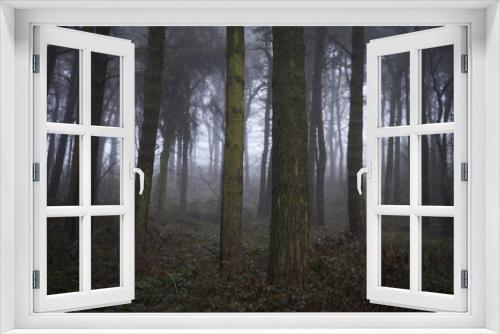 Fototapeta Naklejka Na Ścianę Okno 3D - Fog in the Wood III