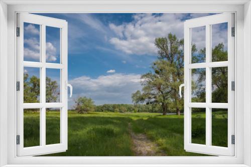 Fototapeta Naklejka Na Ścianę Okno 3D - Road through a meadow near a river