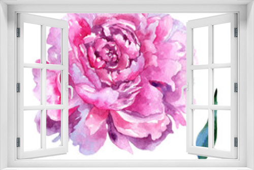 Fototapeta Naklejka Na Ścianę Okno 3D - Wildflower peony pink flower in a watercolor style isolated. Aquarelle wildflower for background, texture, wrapper pattern, frame or border.