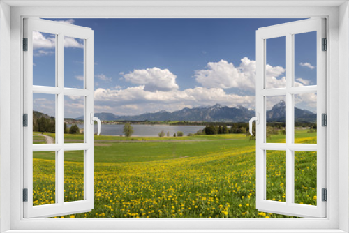 Fototapeta Naklejka Na Ścianę Okno 3D - Panorama Landschaft im Allgäu bei Füssen mit Blumenwiese im Frühling