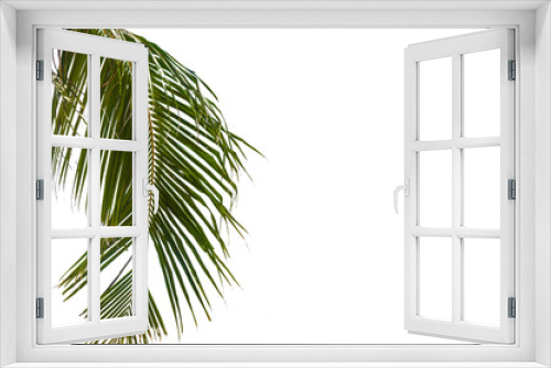 Fototapeta Naklejka Na Ścianę Okno 3D - palm tree