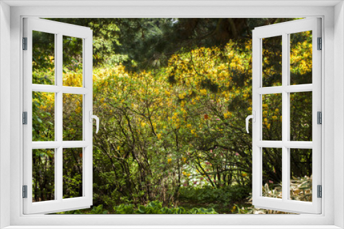 Fototapeta Naklejka Na Ścianę Okno 3D - Aranżacja ogrodu 
