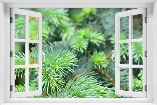 Fototapeta Naklejka Na Ścianę Okno 3D - Pine tree close-up. Holiday decor.