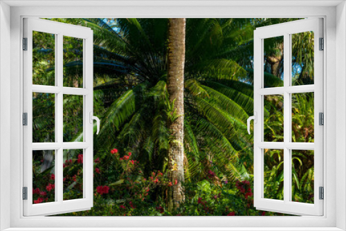Fototapeta Naklejka Na Ścianę Okno 3D - Tropical park, flowers and palm tree in the center of the frame.