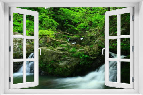 Fototapeta Naklejka Na Ścianę Okno 3D - 新緑の龍門の滝