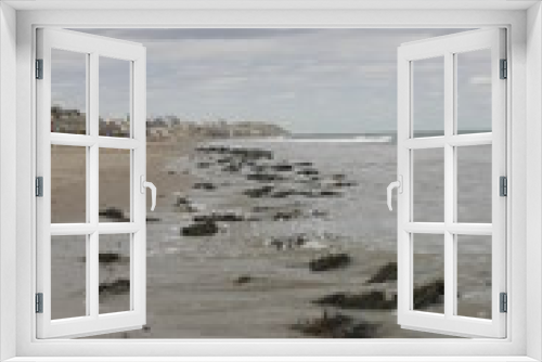 Fototapeta Naklejka Na Ścianę Okno 3D - algae coastline