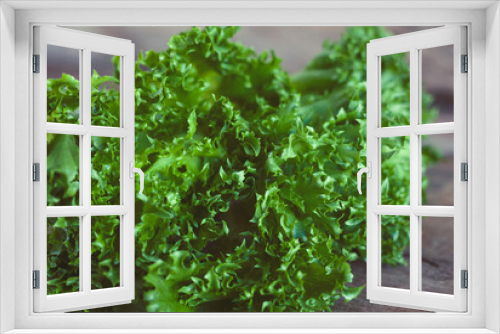 Fototapeta Naklejka Na Ścianę Okno 3D - Salad ingredient closeup