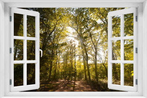 Fototapeta Naklejka Na Ścianę Okno 3D - Natur