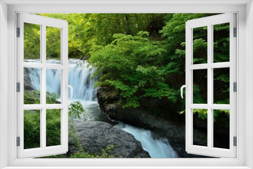 Fototapeta Naklejka Na Ścianę Okno 3D - 新緑の中の滝