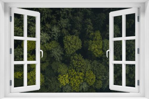 Fototapeta Naklejka Na Ścianę Okno 3D - Moody Forest