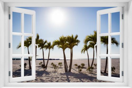 Fototapeta Naklejka Na Ścianę Okno 3D - Palm Trees on St. Pete beach