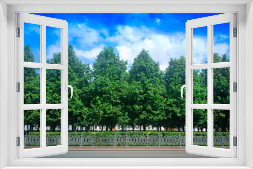 Fototapeta Naklejka Na Ścianę Okno 3D - Multiple park trees in a row background