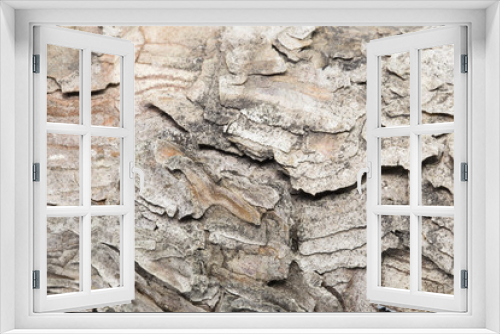 Fototapeta Naklejka Na Ścianę Okno 3D - tree bark close-up 