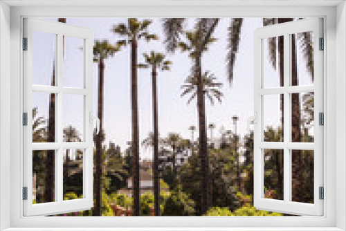 Fototapeta Naklejka Na Ścianę Okno 3D - jardines y palmeras