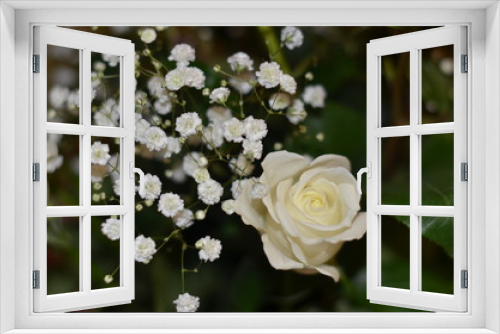 Fototapeta Naklejka Na Ścianę Okno 3D - Цветы