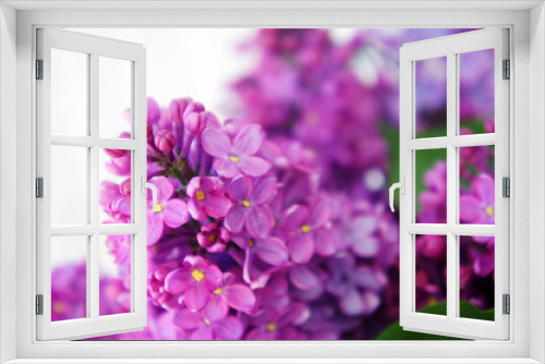 Fototapeta Naklejka Na Ścianę Okno 3D - purple flowers and lilac branches