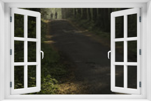 Fototapeta Naklejka Na Ścianę Okno 3D - Forest path