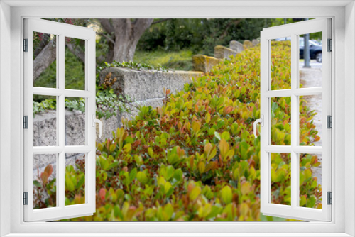 Fototapeta Naklejka Na Ścianę Okno 3D - My Green Life, Green Earth