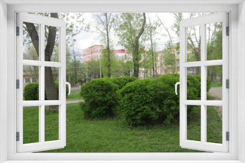 Fototapeta Naklejka Na Ścianę Okno 3D - PERM,FLOWER BEDS IN THE VILLAGE