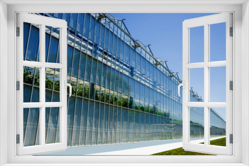 Fototapeta Naklejka Na Ścianę Okno 3D - Modern glass greenhouses against the blue sky.
