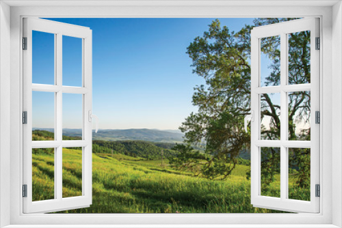 Fototapeta Naklejka Na Ścianę Okno 3D - Panoramic view of fields, hills and trees at sunset in the Tuscan countryside. An unbelievable and traditional region in the center of the Italian Peninsula. Located in the Tuscany region 