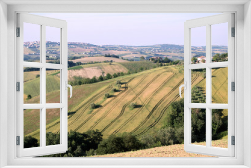 Fototapeta Naklejka Na Ścianę Okno 3D - regione Marche,Italia,collina,campi coltivati,estate,veduta,panorama