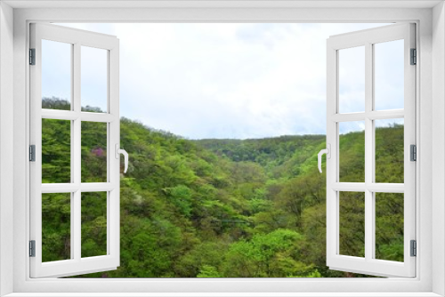 Fototapeta Naklejka Na Ścianę Okno 3D - 新緑とヤマツツジのコラボ