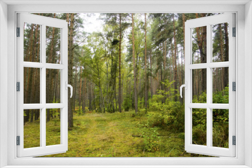 Fototapeta Naklejka Na Ścianę Okno 3D - Dzika przyroda