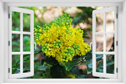 Fototapeta Naklejka Na Ścianę Okno 3D - The flowers
